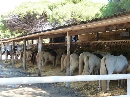 Maison De La *