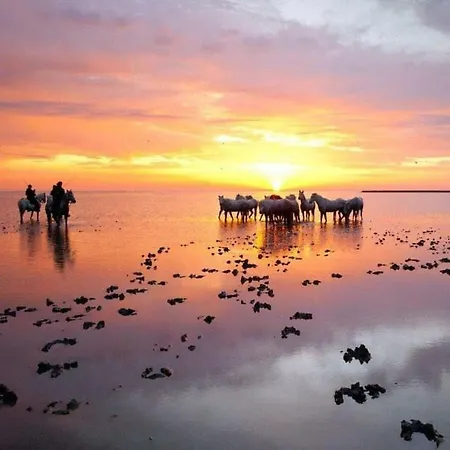 Maison De La Prázdninový dům *