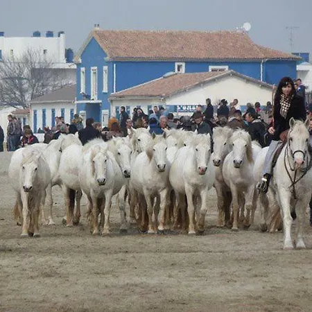 Prázdninový dům Maison De La