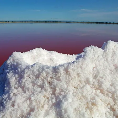 Maison De La Prázdninový dům Le Grau-du-Roi