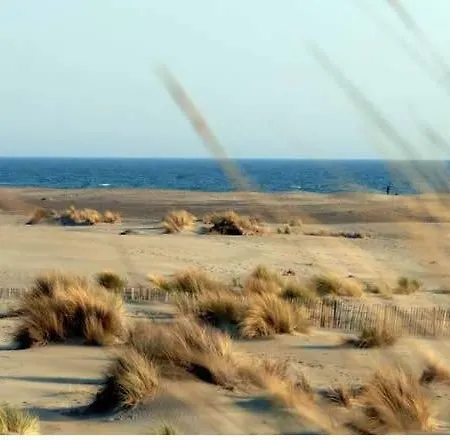 Prázdninový dům Maison De La Le Grau-du-Roi