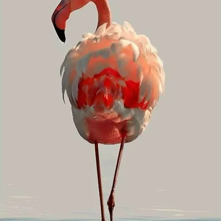 Maison De La Prázdninový dům