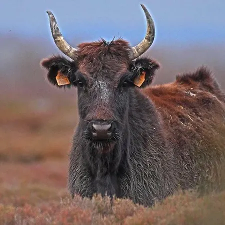 Maison De La Prázdninový dům *