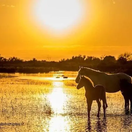 Prázdninový dům Maison De La *