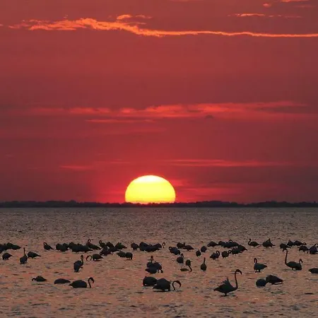 Prázdninový dům Maison De La