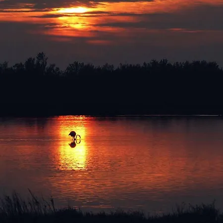 펜션 Maison De La 르그로뒤후아