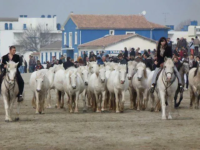 Дом отдыха Maison De La