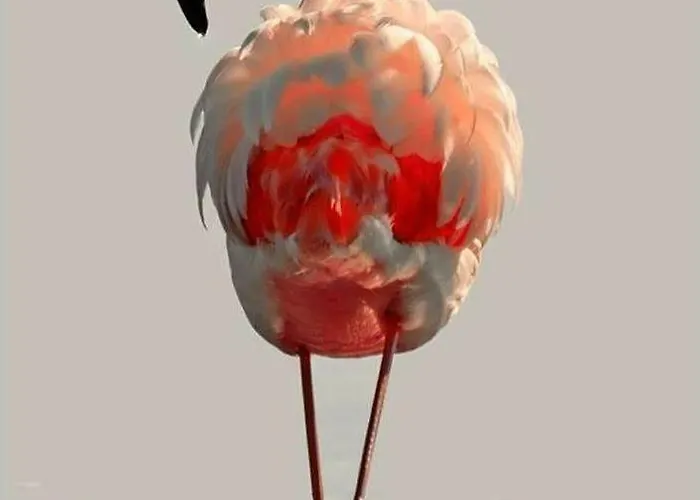 Maison De La Дом отдыха