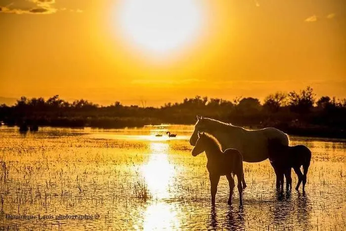Дом отдыха Maison De La *