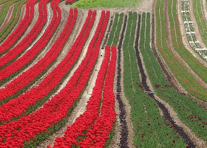 Maison De La Дом отдыха *